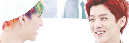 selurmoan's profile banner image