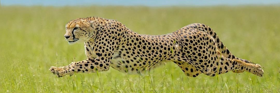 njiru_john's profile banner image