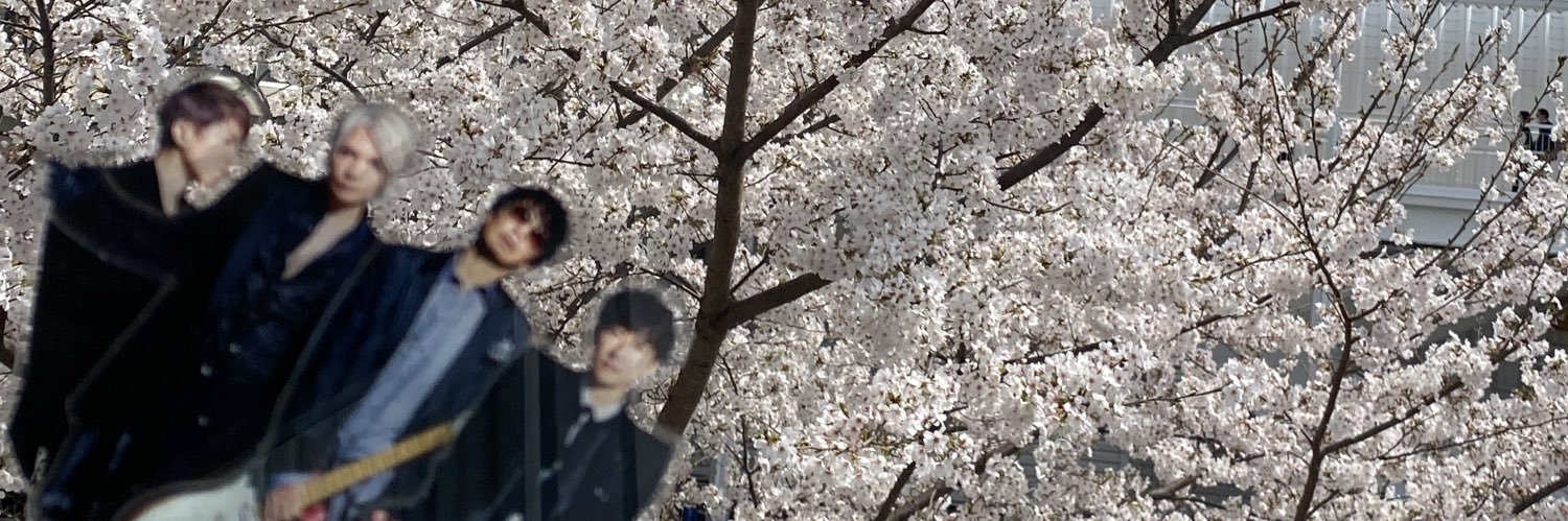 sirn_rn's profile banner image