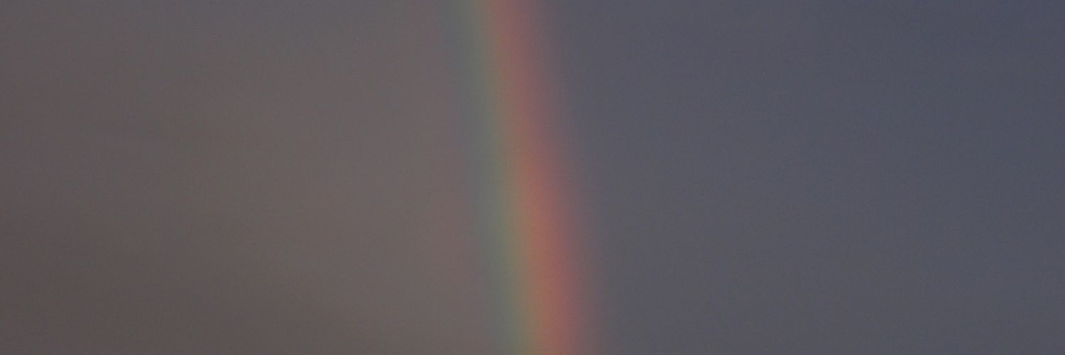 vickycaporrella's profile banner image
