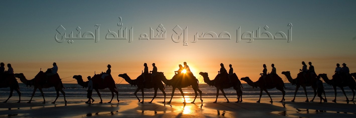 Hany Shams banner