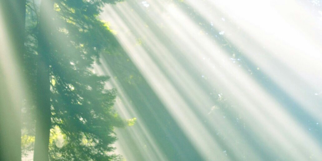 yeanhee80's profile banner image
