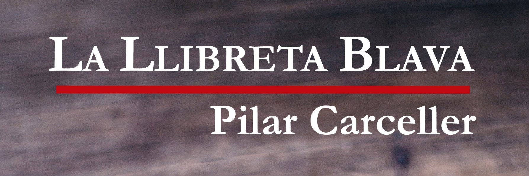 PcarcellS's profile banner image