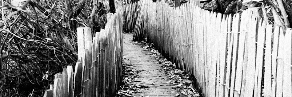 Géraldine Paulmier banner