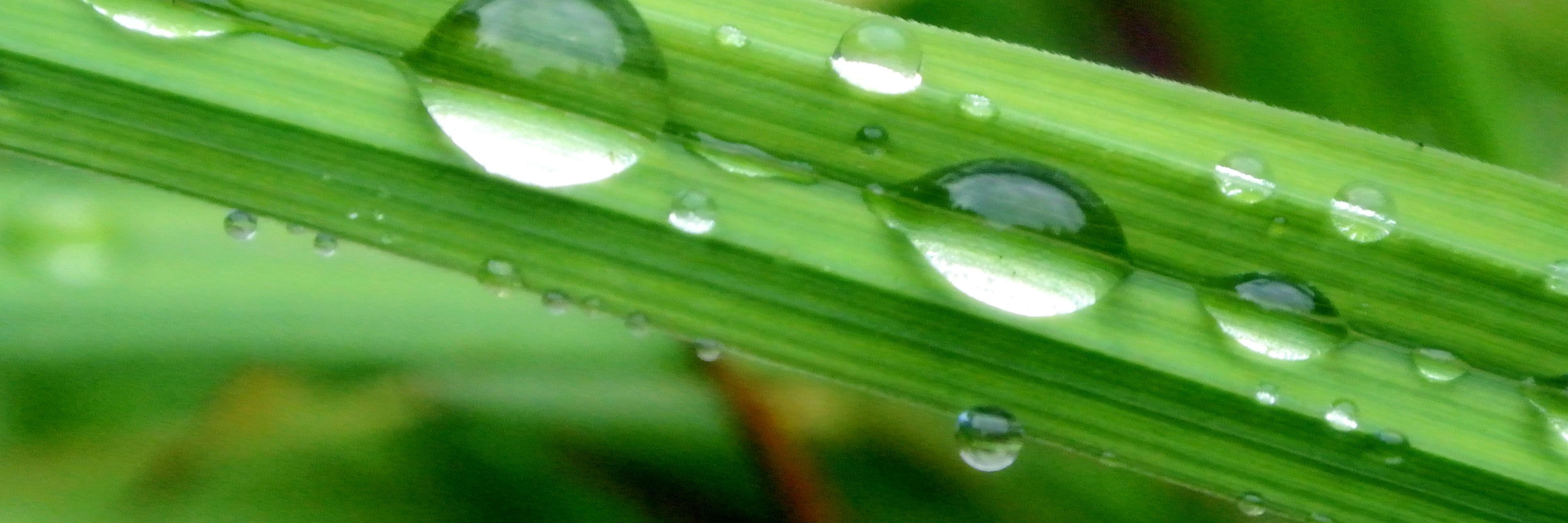 LenaPAndCo's profile banner image