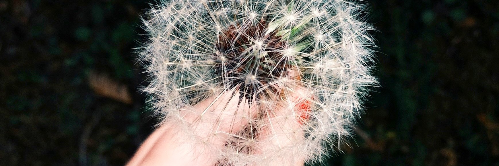 jdwilliams2's profile banner image