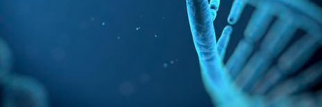 Raneem AlHarbi 🧬🥋📚 banner