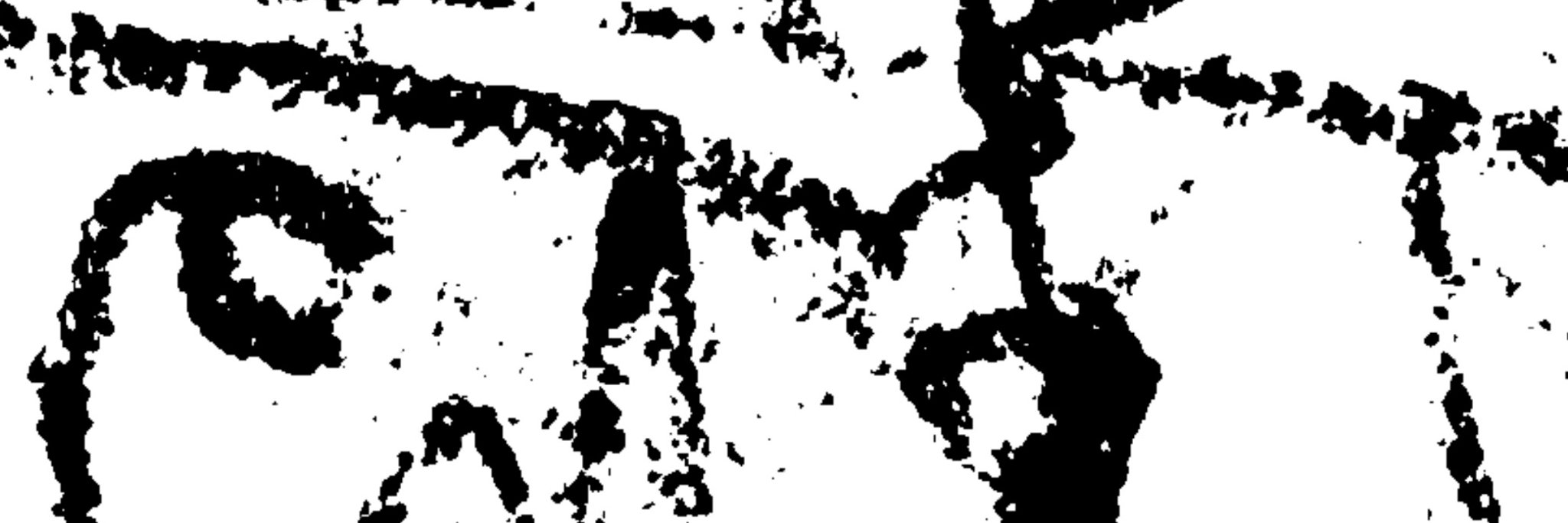 SAMUELVISCOSI's profile banner image