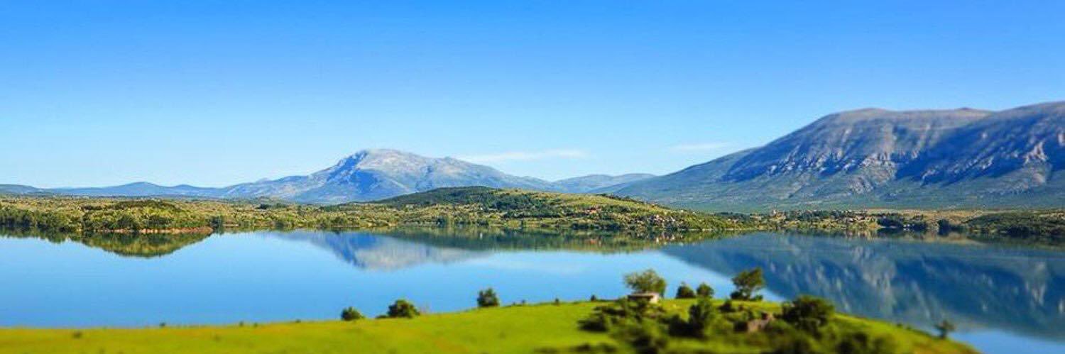 Dinka Živalj banner