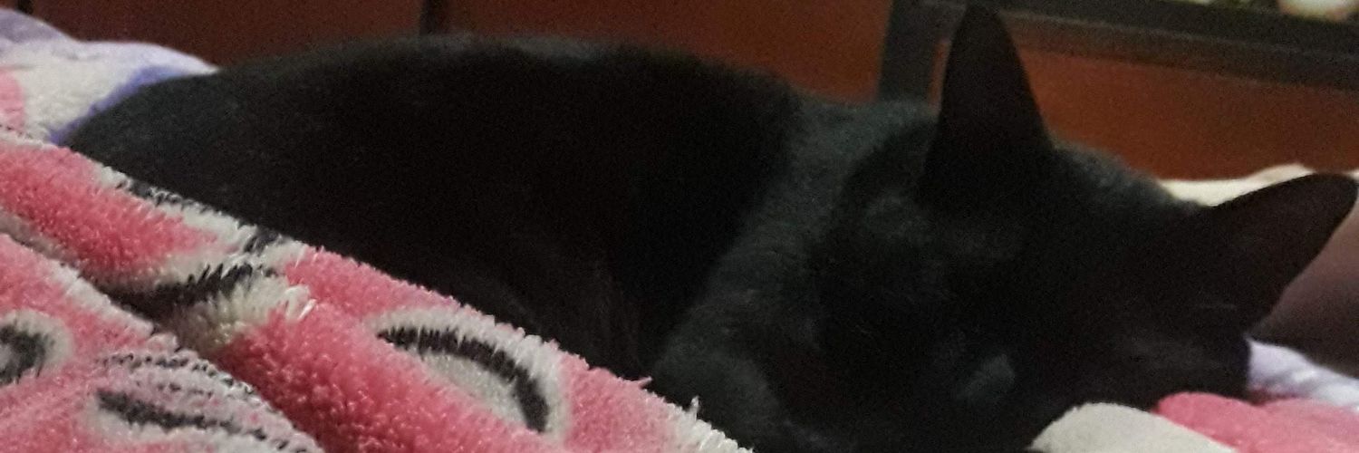 arabengochea's profile banner image