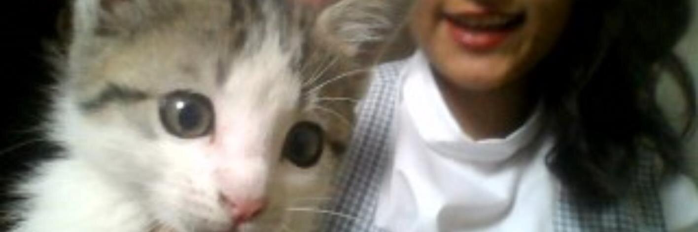 karitoll's profile banner image