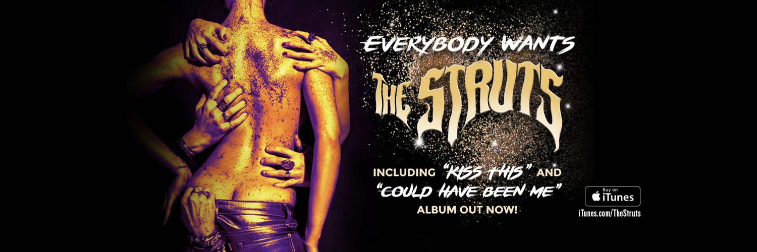 The Struts Updates banner