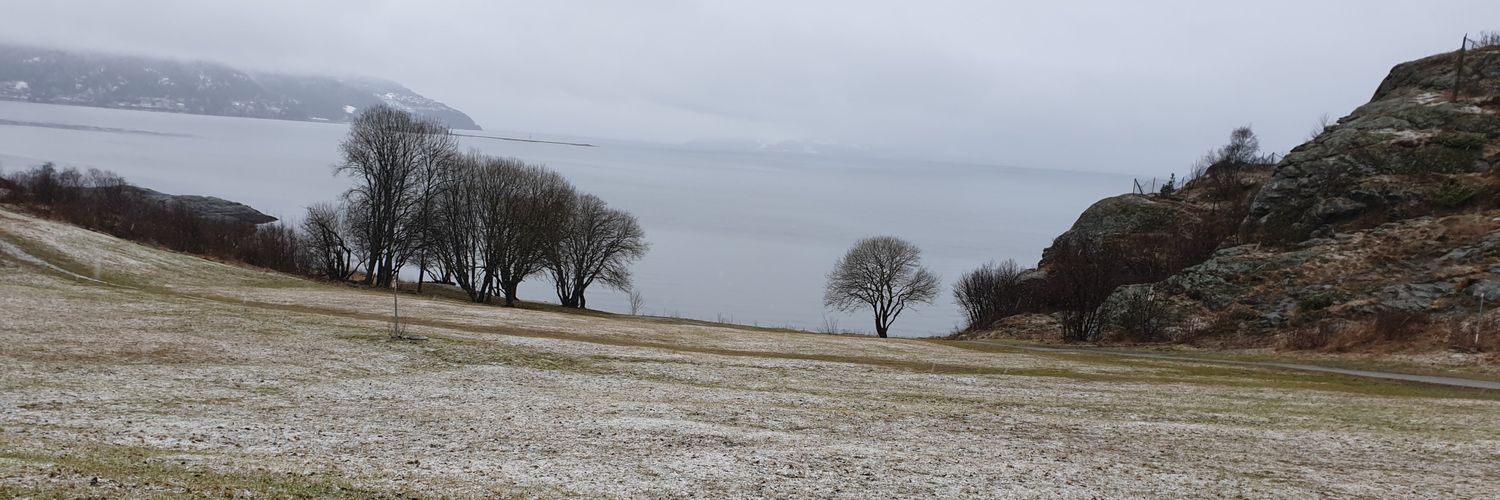 Lars H. Sendstad banner