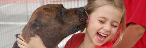 HESchatt Profile Banner