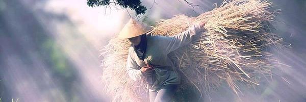 Cangbara Profile Banner