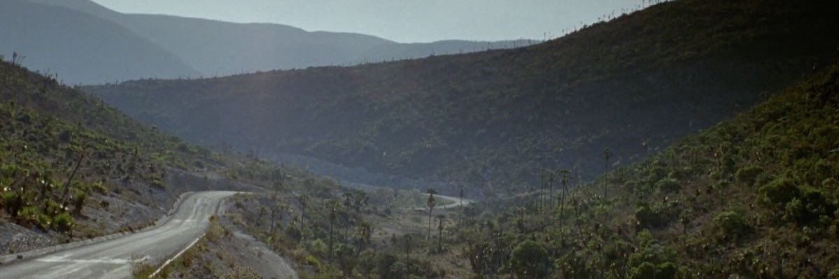 jobybuffone's profile banner image