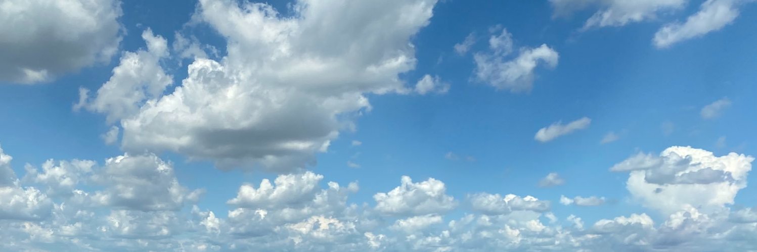 mlion813's profile banner image
