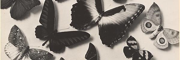 Natasa68482255's profile banner image