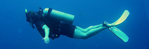 pracedru Profile Banner