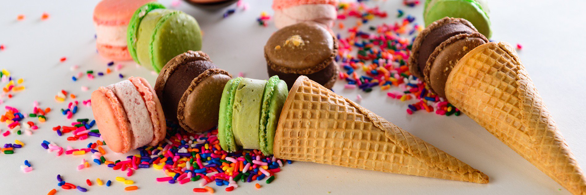 MacaronMillie's profile banner image