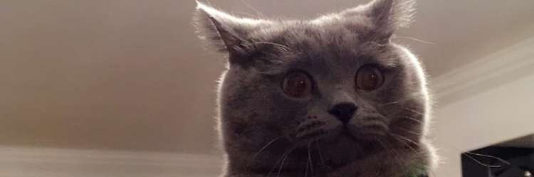Tcbbyt's profile banner image