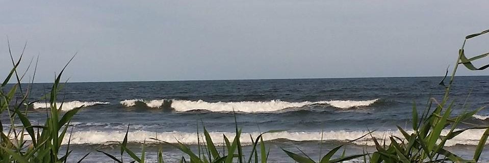 mtaborda's profile banner image