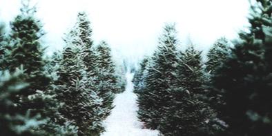 Tayloranggdr's profile banner image