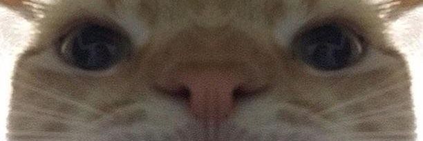 Cafe y cigarro banner