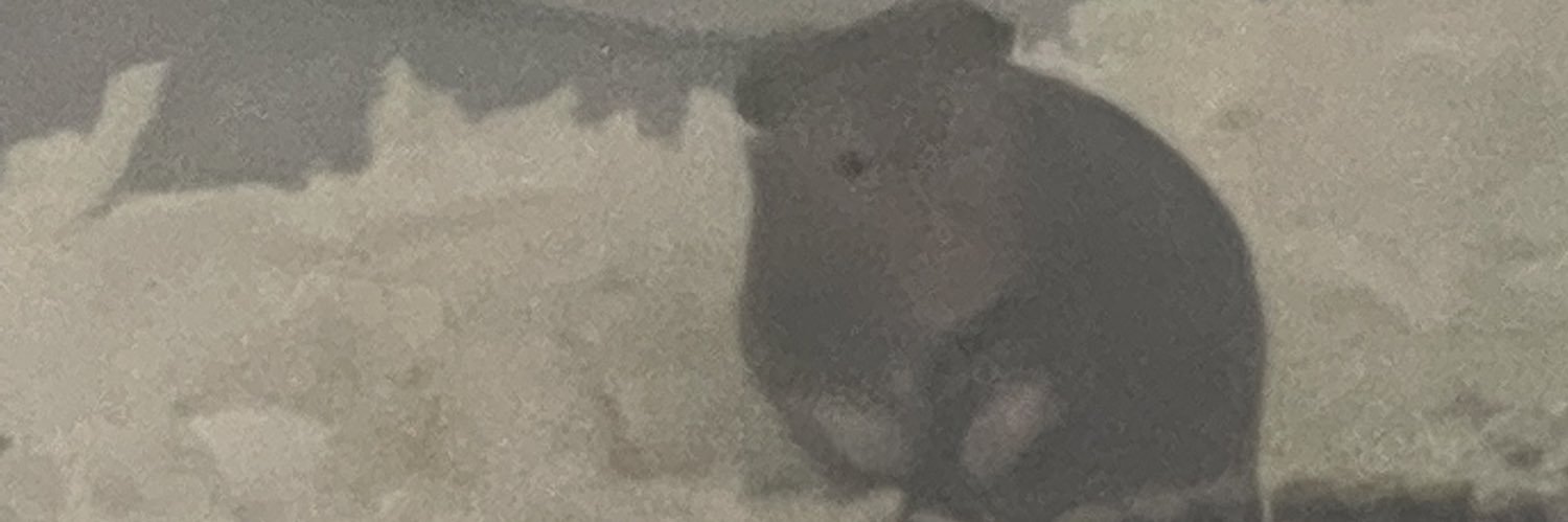 skeefcake's profile banner image