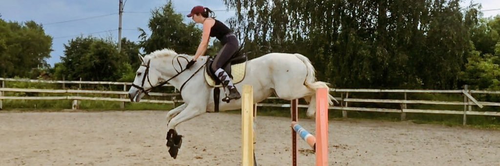 yasnaivanova's profile banner image