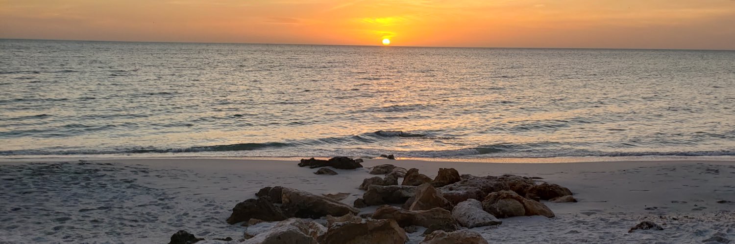 SouthernInFL's profile banner image