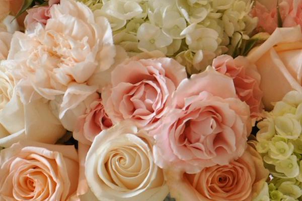 vilienia's profile banner image