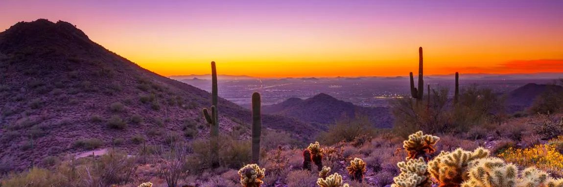 au! 𝙍𝙚𝙮𝙚𝙨. banner