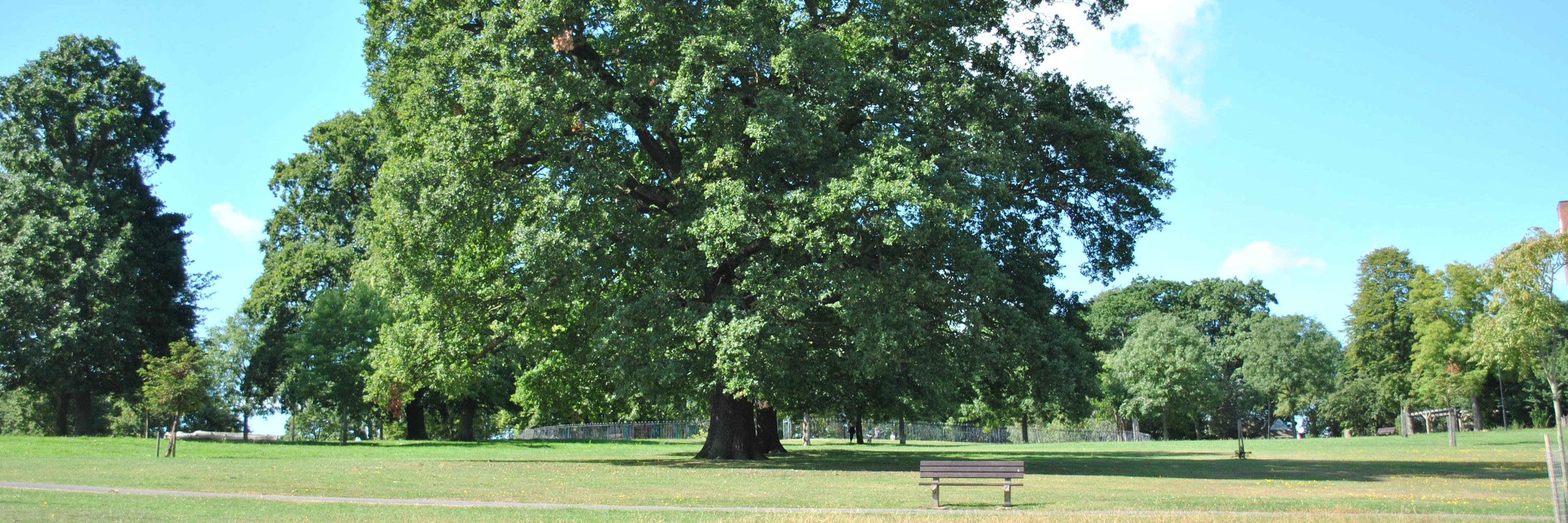 FriendsofNorwoodPark banner