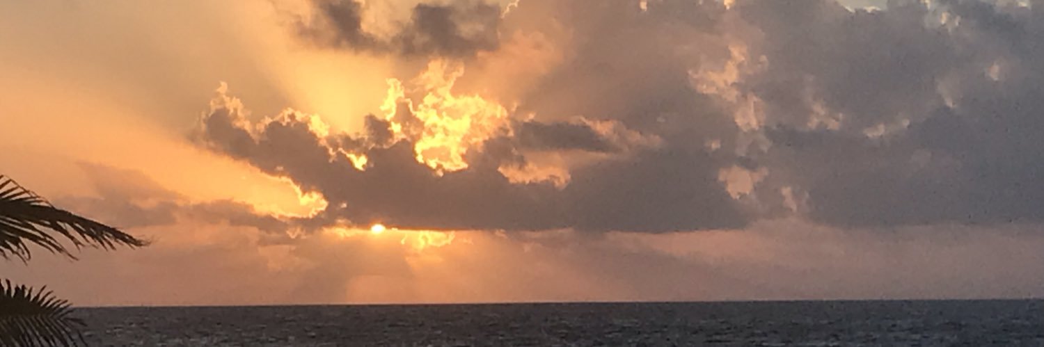 kfenton5's profile banner image