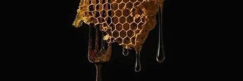 علي رضوان ابراهيم banner