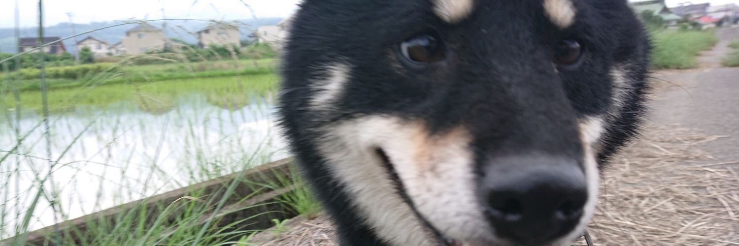 hiro28575's profile banner image
