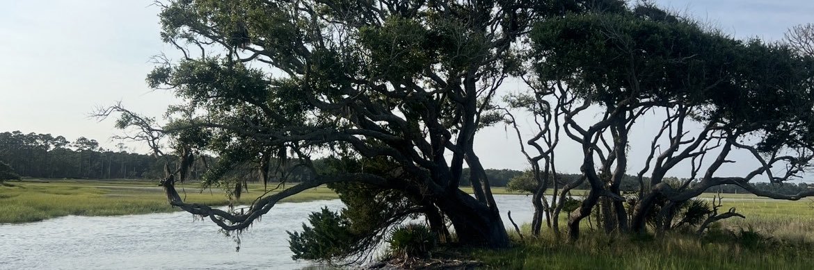jasteria_'s profile banner image