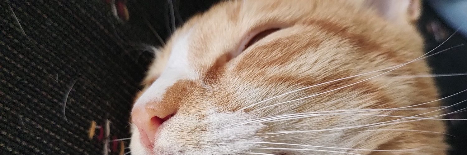 JojVasquez's profile banner image