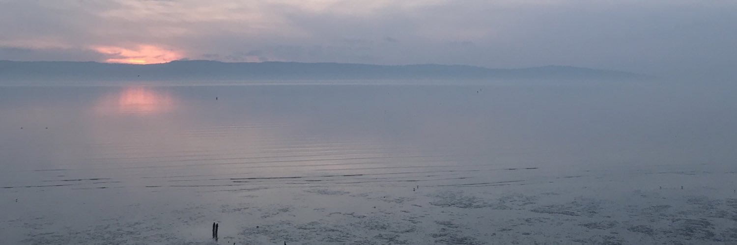 hannah___beer's profile banner image