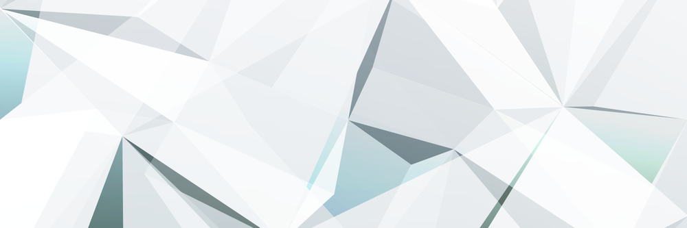 Red Sea Ventures banner