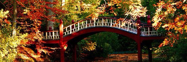 shariceEDU Profile Banner