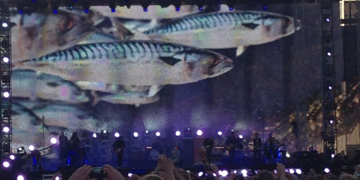 hejhej banner