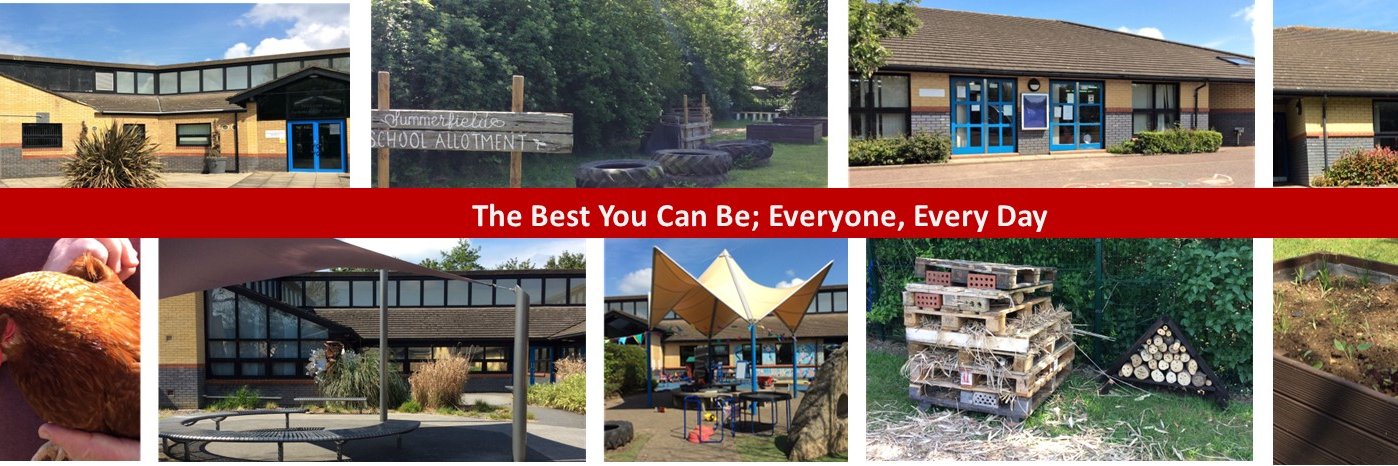 Summerfield School banner