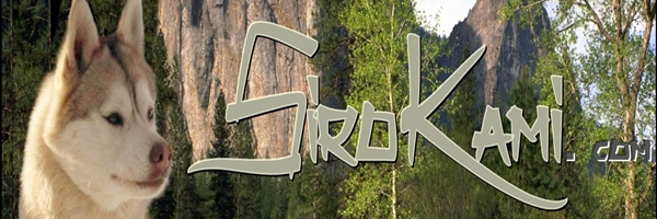 SirokamiHusky's profile banner image