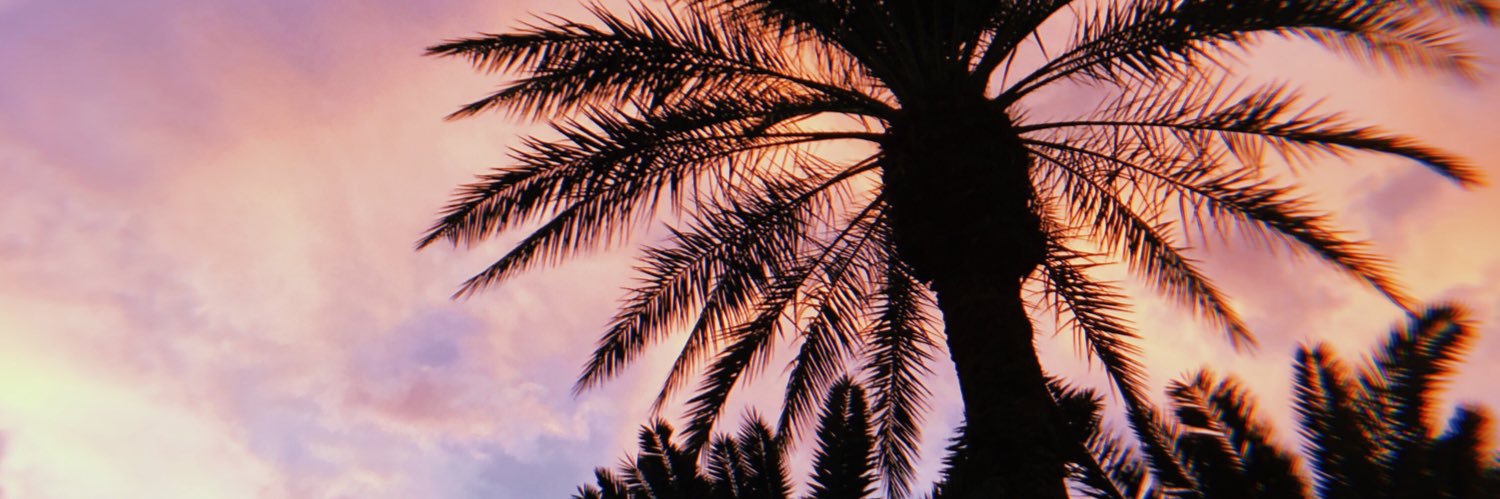 HotTamaleMob's profile banner image