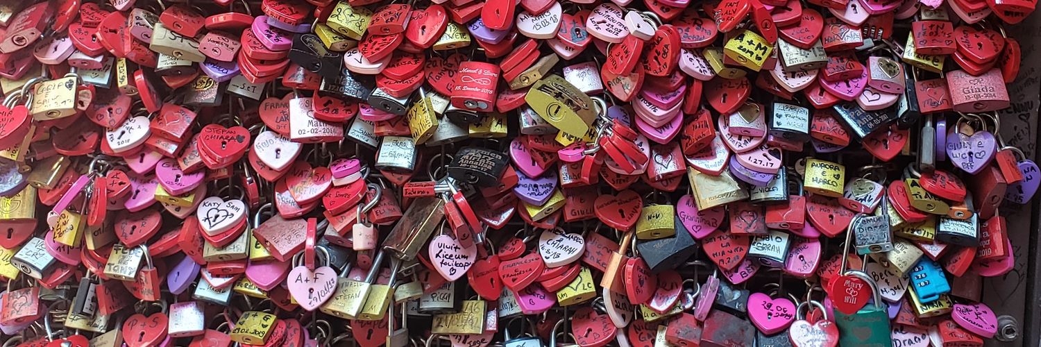 sarah derocher moore banner