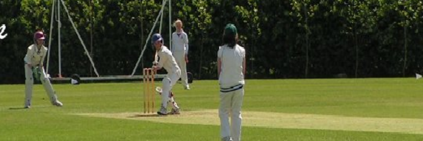 Bristol Phoenix CC banner