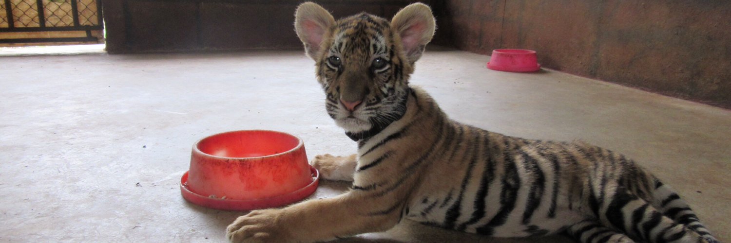 larochestudios's profile banner image