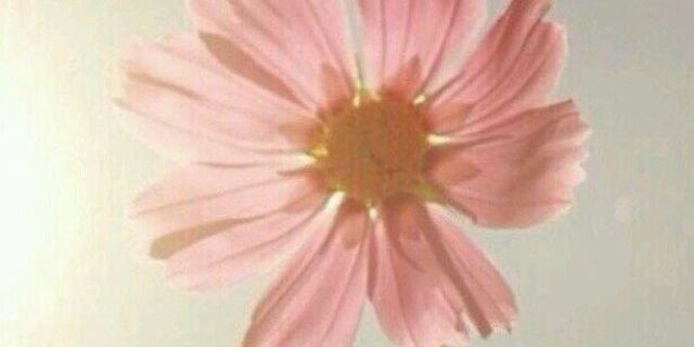 NBRAAS3's profile banner image
